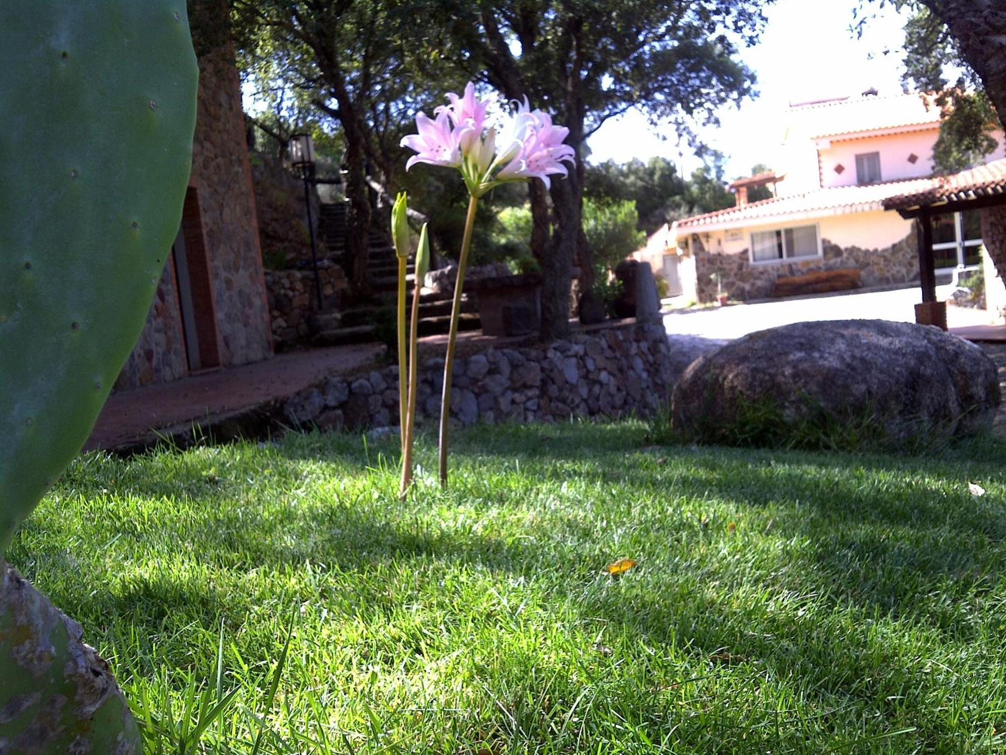 Hostal La Quercia Arbus Exterior foto